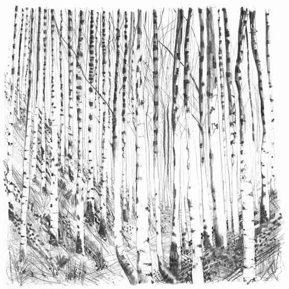 Song for light; Pencil - 30x28cm